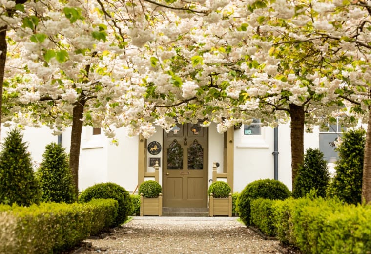exterior with tree blossoms